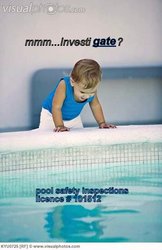 fencing contractor Pool safety inpections